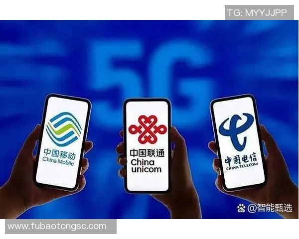 无牌照运营商面临重罚措施包括罚款屏蔽网站及列入黑名单